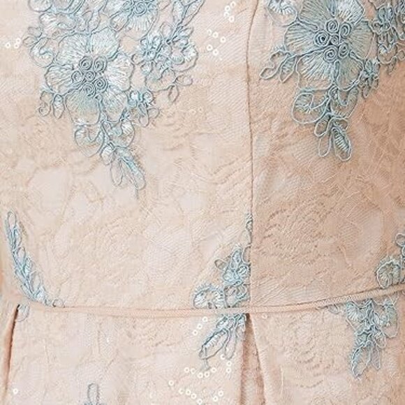 Adrianna Papell Women's Pink Embroidered Midi Fit & Flare Dress - Picture 8 of 12